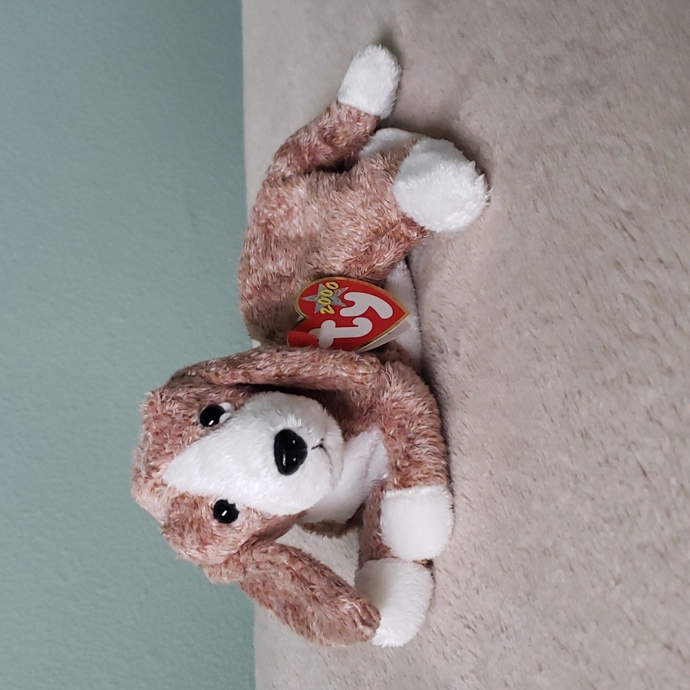 Sniffer Puppy Dog 🐶Ty Beanie Baby Basset Hound Doggie🐶Gift Toy Collectible NWT